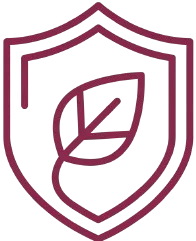 Shield with plant leaf icon